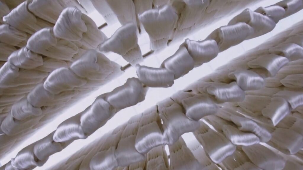 Why Mulberry Silk is the Gold Standard in Silk Fabrics 3 丝绸.无标无字幕.mp4 20250704 120652.713